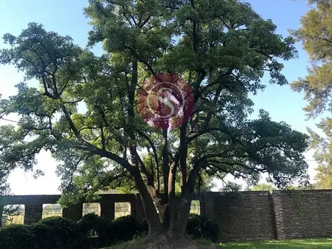 Terreno en Venta en Alejandro Petion, USD 20.000