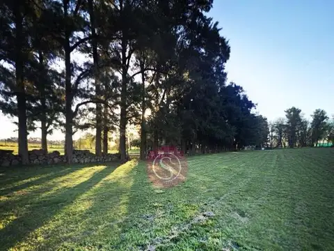 Terreno en Venta, Barrio Petión, Cañuelas (Financiación) 100