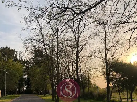 Lote/Terreno en Venta, Barrio Petión, Cañuelas (Financiación) 100