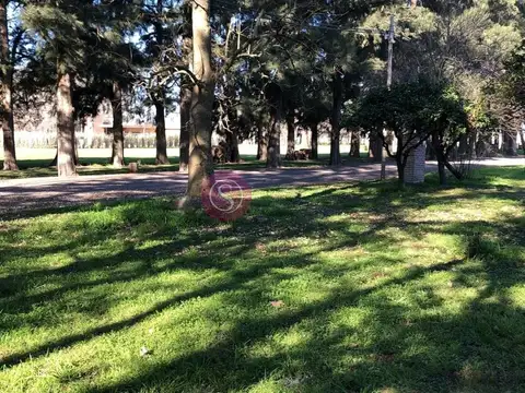 Terreno en Venta de 800,0 m2