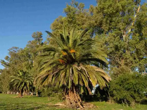 Terreno en Venta en Plomer, USD 21.900