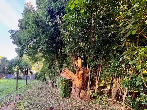 Terreno en Venta 65  mts Fondo