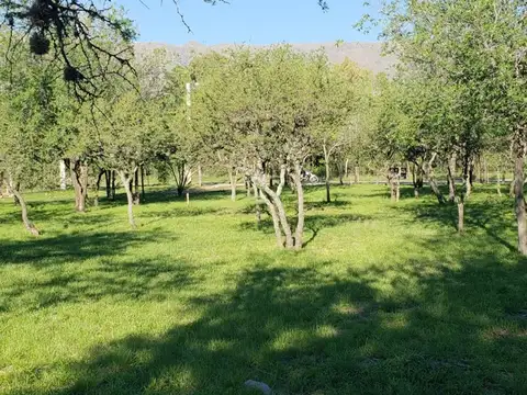 Venta Lote Centrico Merlo San Luis PRECIO LIMITADO