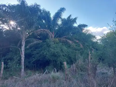 Campo en venta - 26 Hectáreas - Lobos