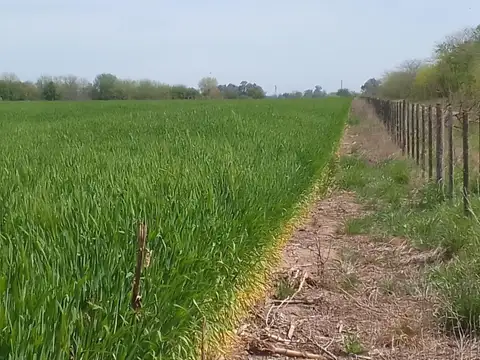 Campo en venta - 26 Hectáreas - Lobos