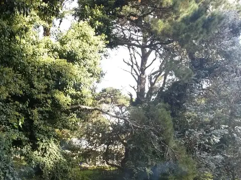 VENTA LOTE SIERRA DE LOS PADRES 