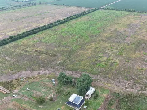 Campo de alta productividad en Rafaela