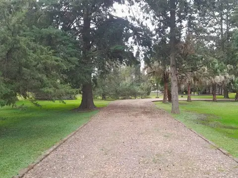 SANTA FE ENTRE LAVALLE Y CORRIENTES