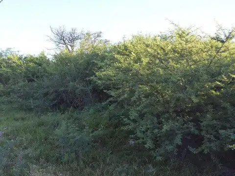Terreno en Venta, FOT 40