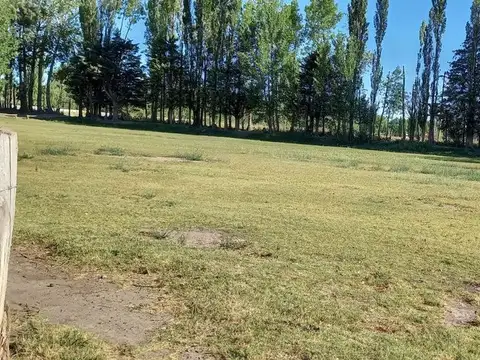 VENTA TERRENO 10 HECTAREAS EN PLOTTIER