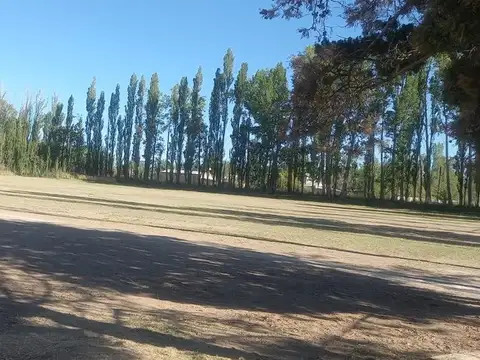 VENTA TERRENO 10 HECTAREAS EN PLOTTIER