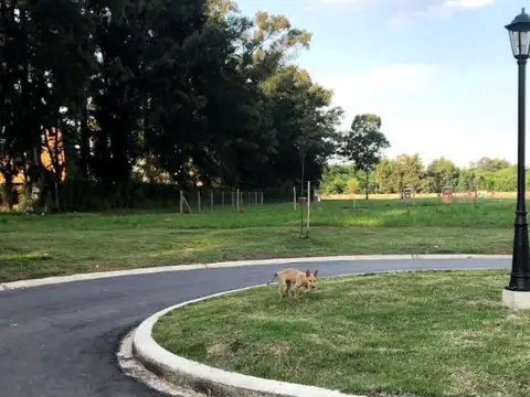 Terreno en Venta en Santo Tomas, USD 57.000