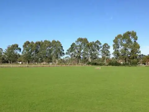 Terreno en Venta de 480,0 m2