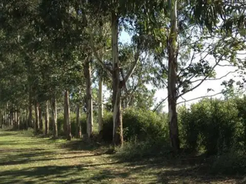 Terreno central en venta en Santo Tomás