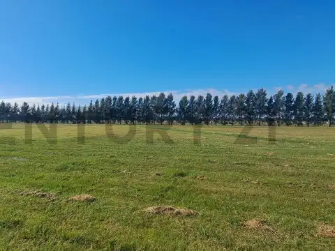 Terreno en venta en Haras del Sur III
