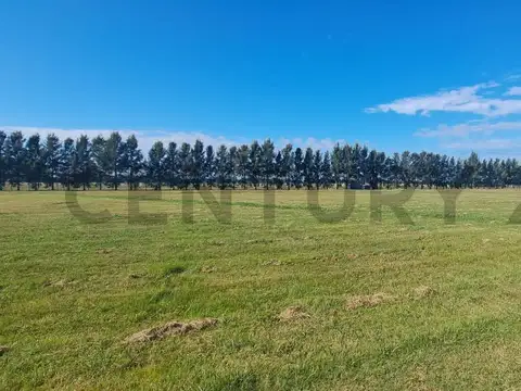 Terreno en Venta en Haras Del Sur 3, USD 10.000