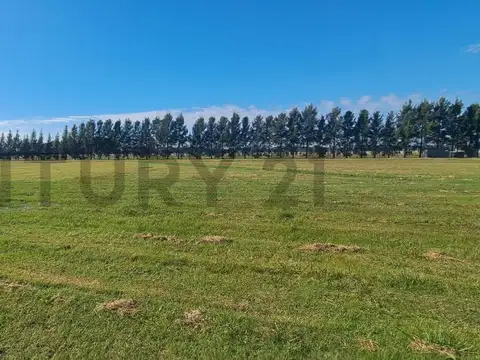 Terreno en Venta de 1086,24 m2