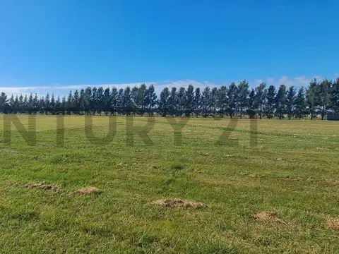 Terreno en Venta en Haras Del Sur 3, USD 10.000