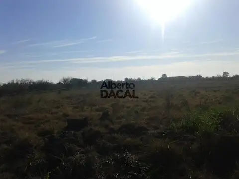 Terreno en Venta 50  mts Fondo