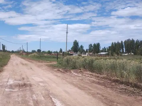 Nicolas Serpa 7000