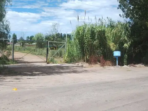 Terreno en Venta en Pedregal, USD 19.000