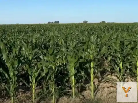 Campo en venta - 2.623.761Mts2 - Gonzalez Moreno