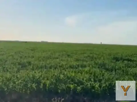 Campo en venta - 2.623.761Mts2 - Gonzalez Moreno