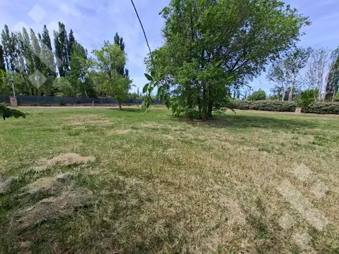 Terreno en Cinco Saltos
