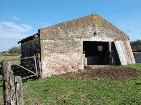 Open Door 402 Ha S/n