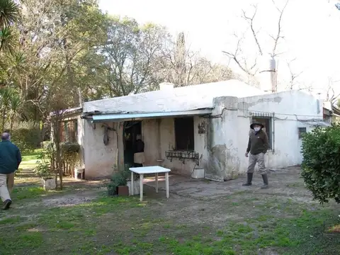 Campo de 402 HA en OPEN DOOR - Lujan