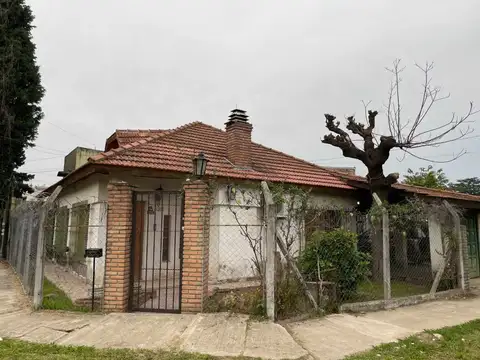 Maestro Ángel D'Elía 4800