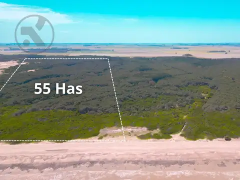 VENTA | RUTA 88 km 90 | CAMPO CON FRENTE COSTERO
