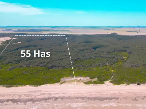 VENTA | RUTA 88 km 90 | CAMPO CON FRENTE COSTERO