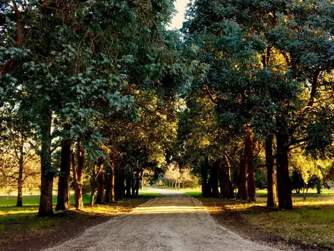 Terreno en Venta de 2028,0 m2