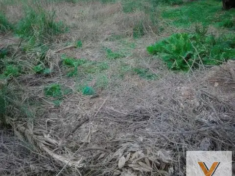 Terreno en Venta 38  mts Fondo