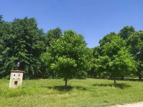 Lote B31 en Venta en Estancia Villa María, Sector Los Álamos, Ezeiza