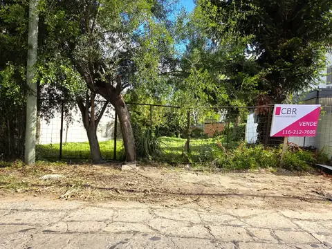 Gobernador Arana al 2000