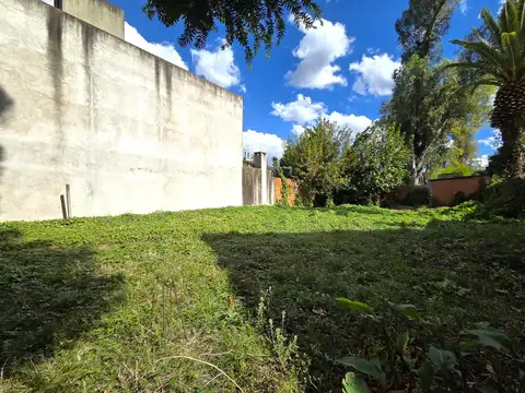Terreno en Venta 31  mts Fondo