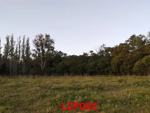 Terreno - Venta - Argentina, Mercedes