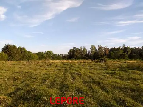 Terreno - Venta - Argentina, Mercedes