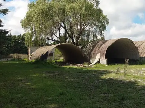 Galpon en venta y alquiler en La Plata