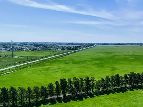 CAMPO EN VENTA FLORENCIO VARELA, 135 HECTAREAS,