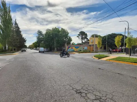 Perito Moreno 300