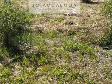 Lotes Córdoba, Tanti