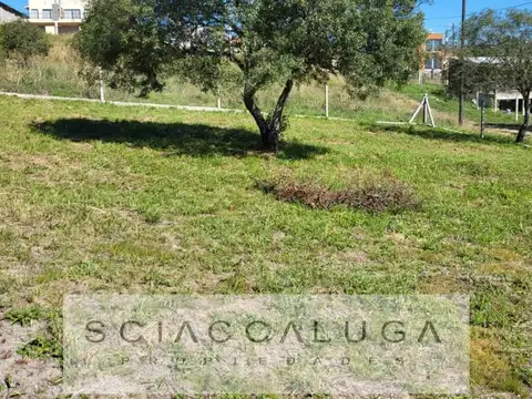 Terreno en Venta de 720,0 m2