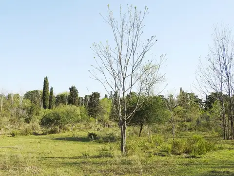 Terreno en Venta en Ingeniero Maschwitz, USD 32.400