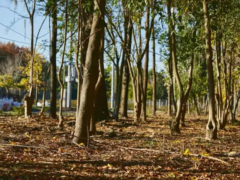 Terreno en Venta de 351,0 m2