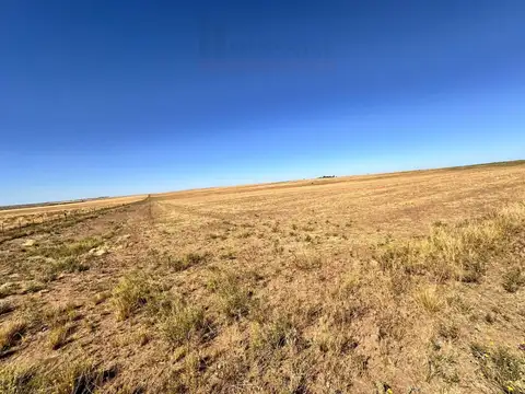 Ruta Nacional 100