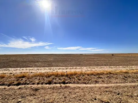 Campo de 400ha en venta - Zona Choique