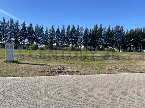 Mariano castex , Piso 0